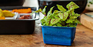 ANL Packaging tray for cresses ANL Packaging tray for cresses